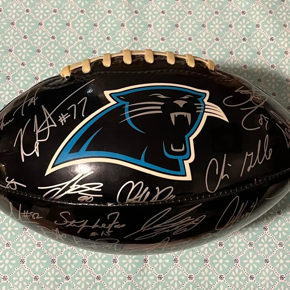 🏈 Baden Collector Series Souvenir Collectable Panthers NFL Football